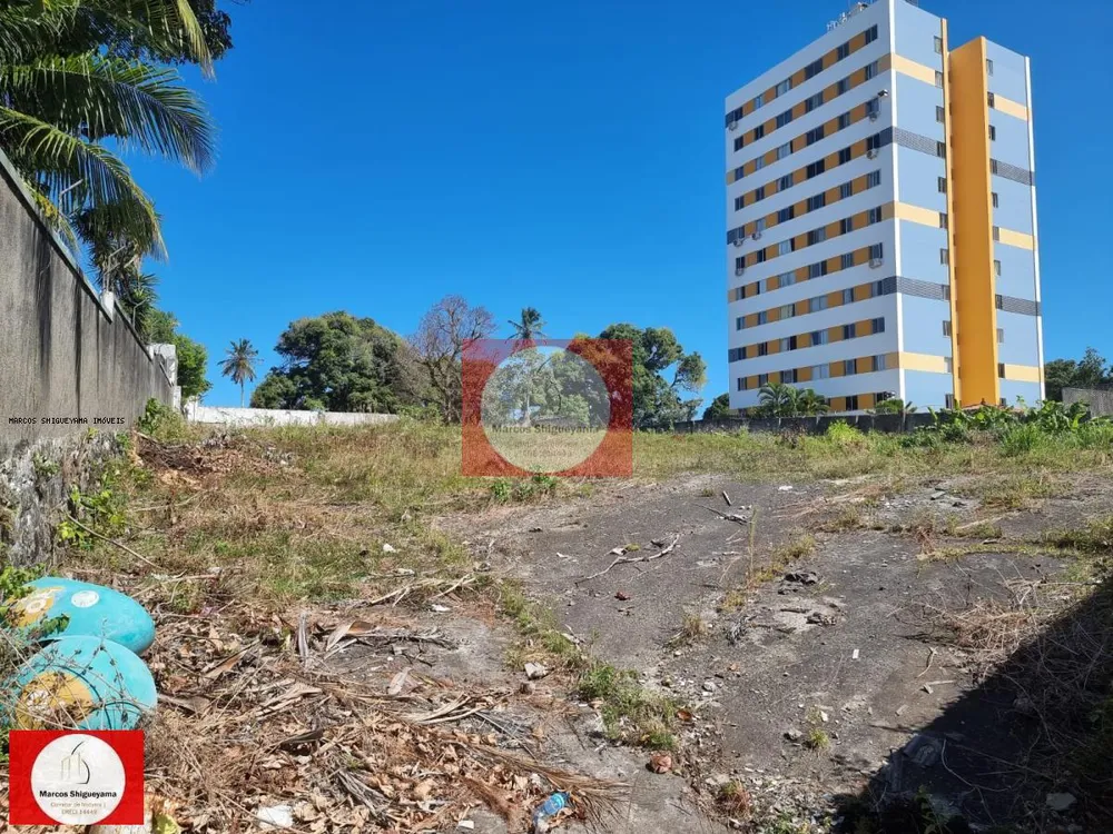 Terreno, 3200 m² - Foto 2