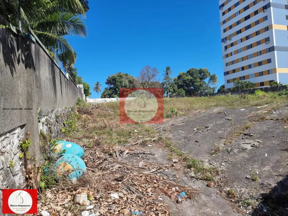 Terreno, 3200 m² - Foto 3