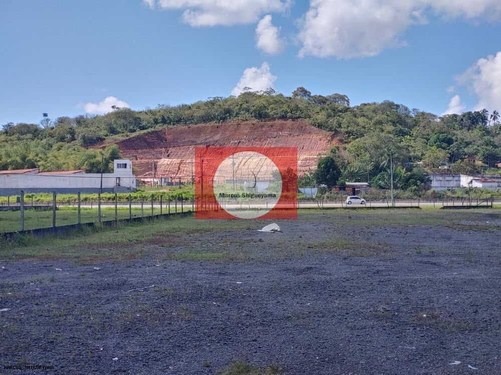 Terreno, 4 hectares - Foto 14