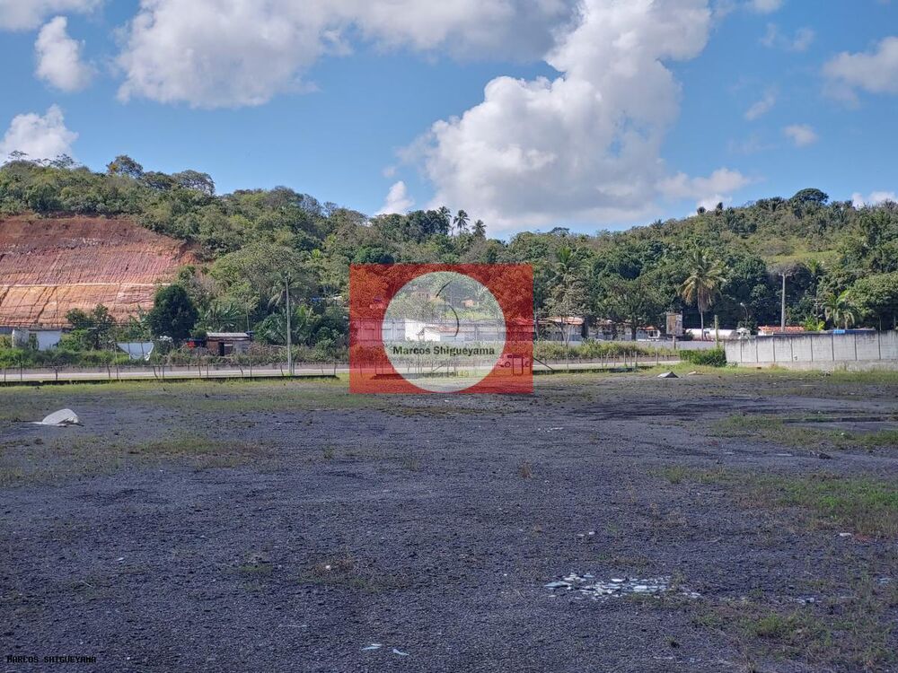 Terreno, 4 hectares - Foto 15