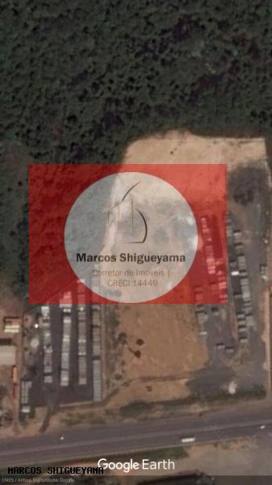 Terreno, 4 hectares - Foto 6