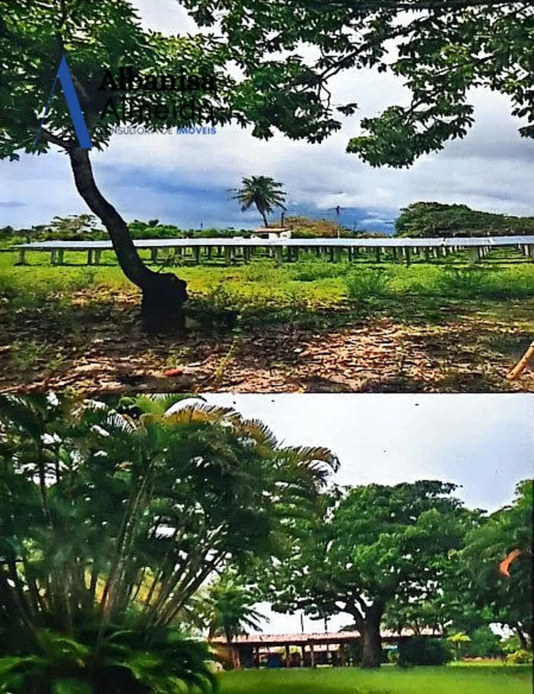 Fazenda, 10 hectares - Foto 4