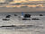 Flat/Apart Hotel, 1 quarto, 52 m² - Foto 2