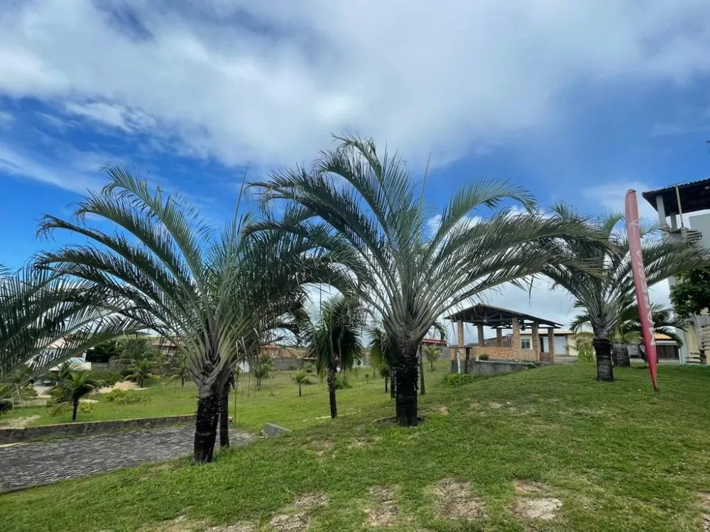 Terreno, 153 m² - Foto 10