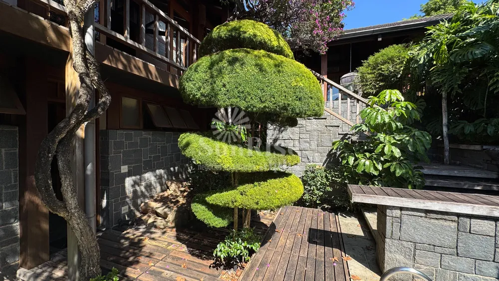 Casa, 4 quartos, 650 m² - Foto 6