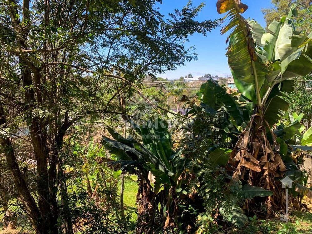 Terreno, 2018 m² - Foto 6