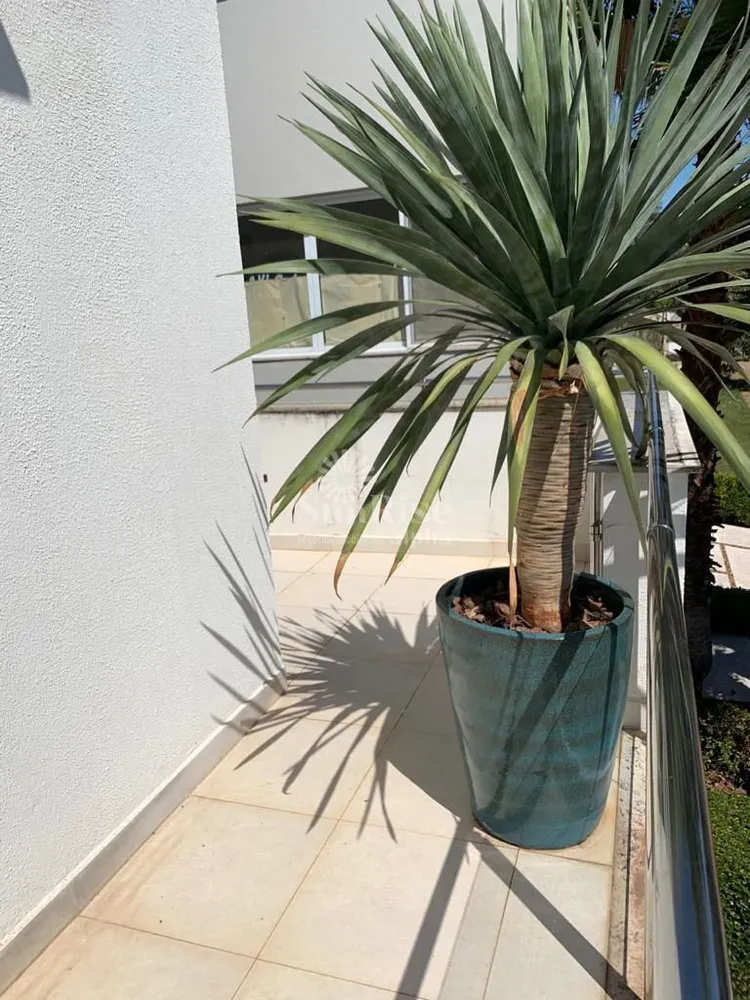 Casa, 5 quartos, 340 m² - Foto 24