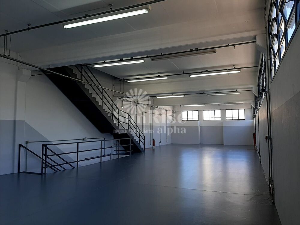 Prédio Inteiro, 903 m² - Foto 4