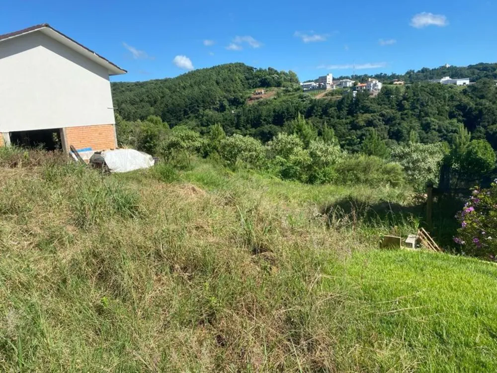 Terreno - Foto 4
