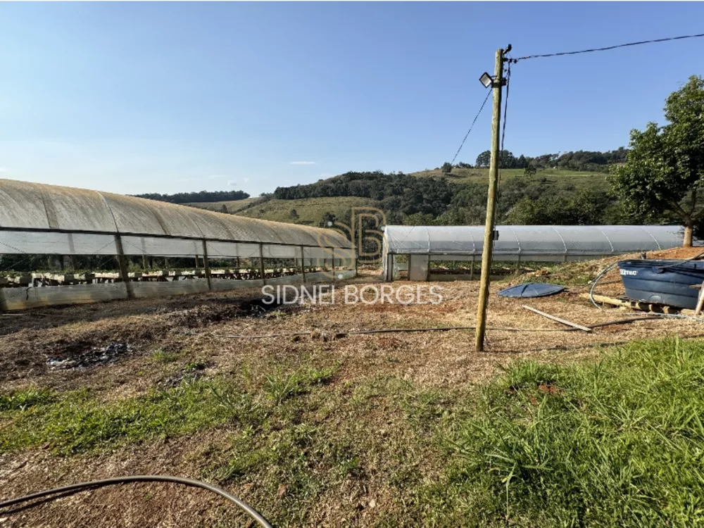 Fazenda à venda, 200m² - Foto 4