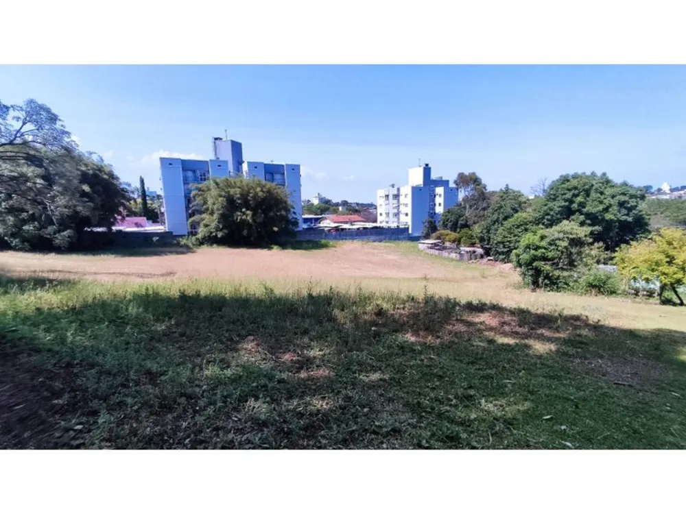 Terreno - Foto 8