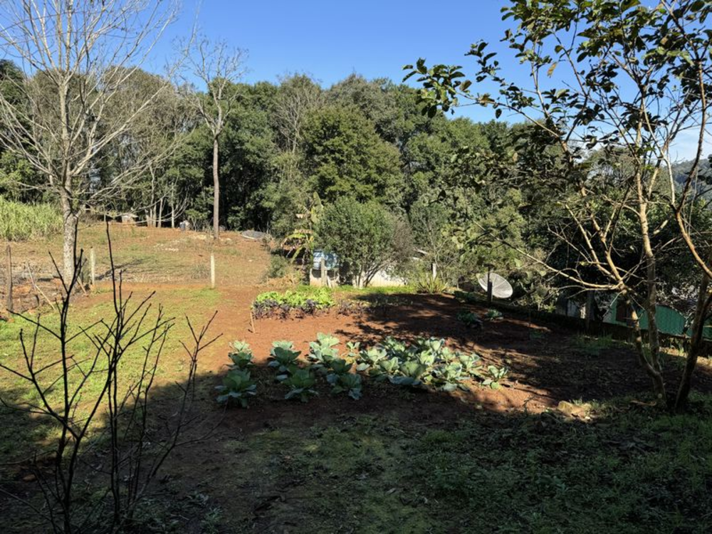 Sítio, 3 quartos, 245 m² - Foto 3