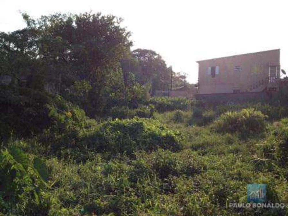 Terreno, 2250 m² - Foto 3