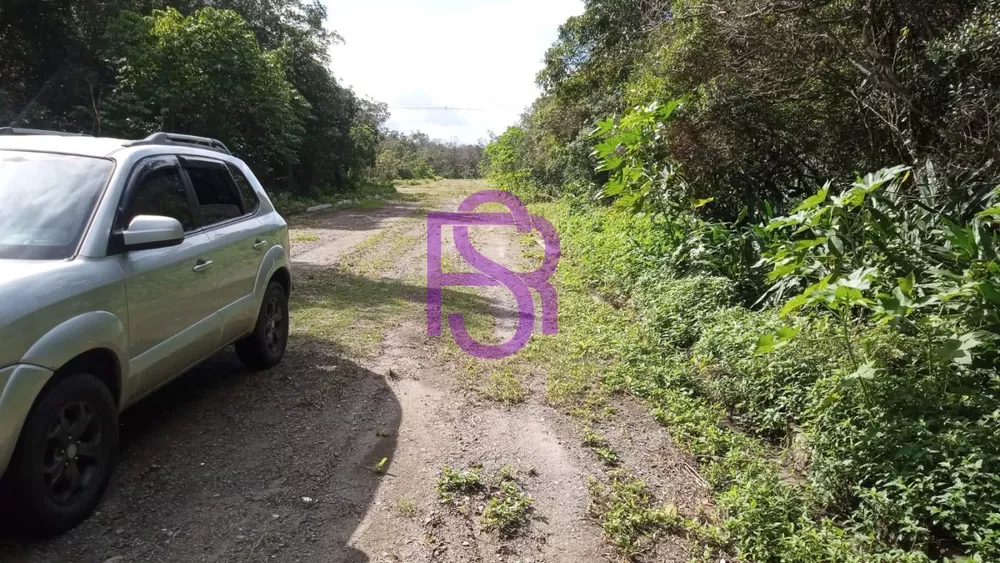 Apartamento - Foto 1