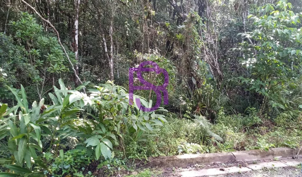 Apartamento - Foto 2