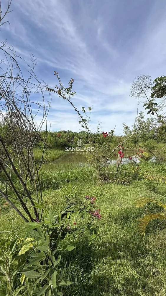 Chácara, 3 quartos - Foto 6