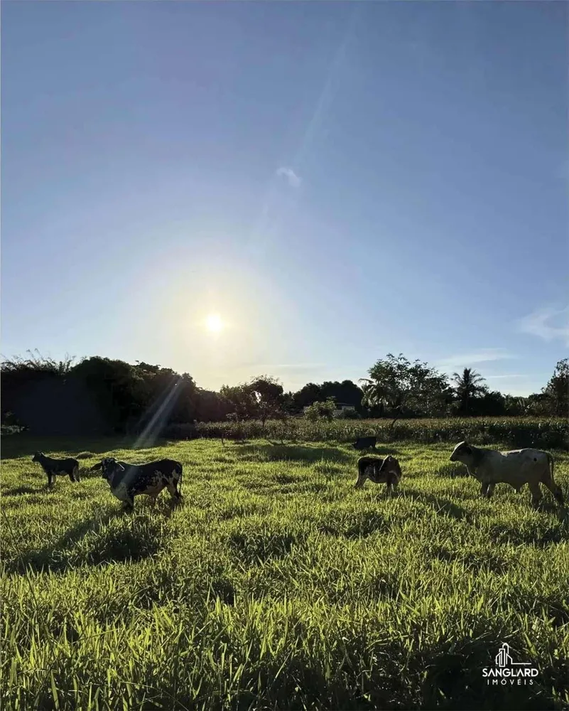 Terreno, 2 hectares - Foto 6