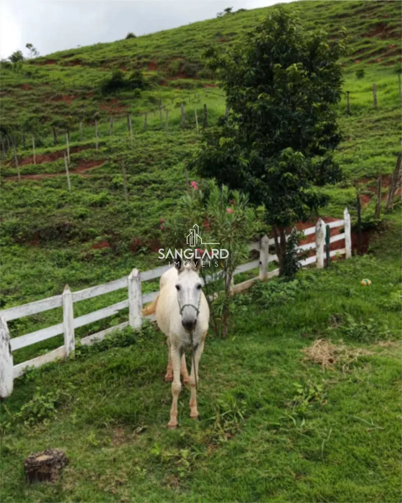 Fazenda - Foto 11