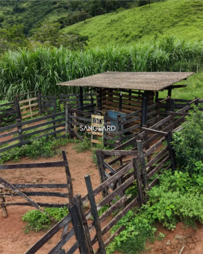 Fazenda - Foto 10