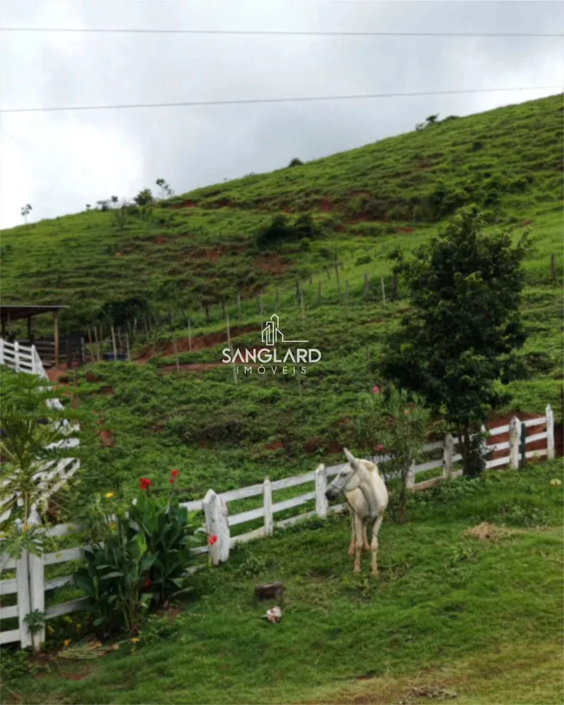 Fazenda - Foto 12
