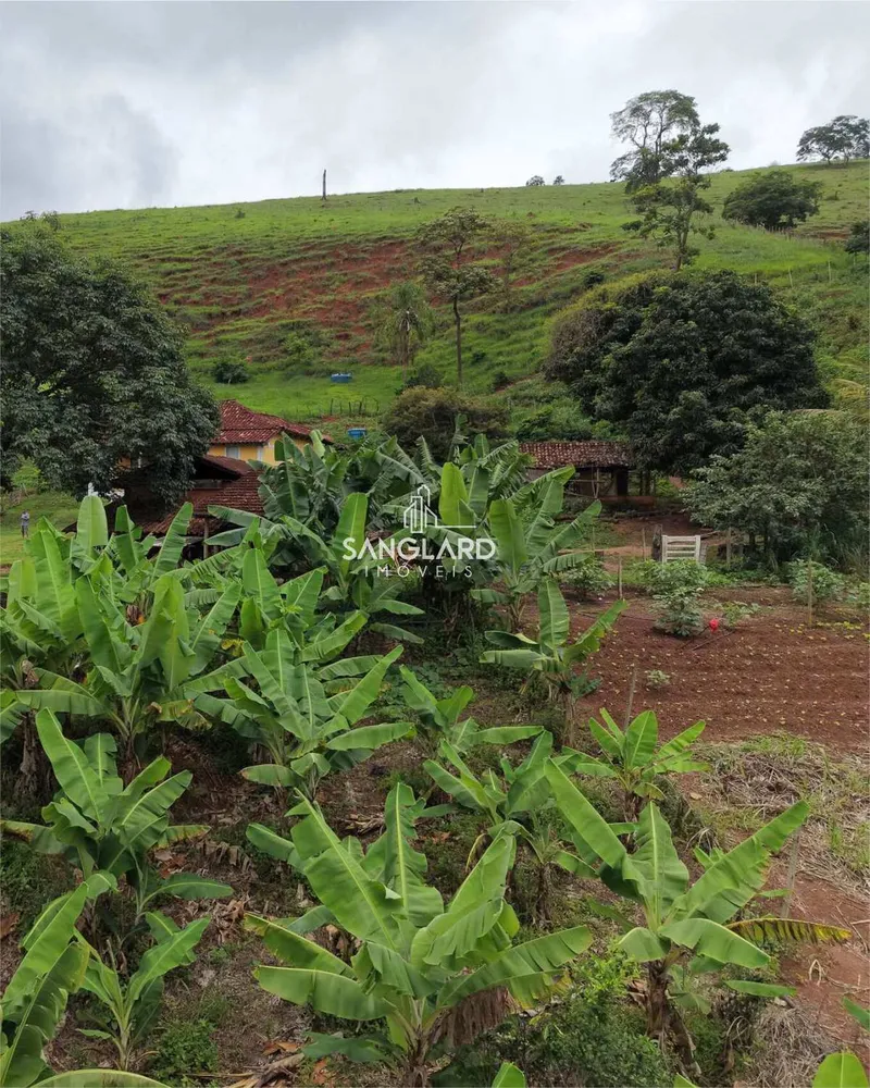 Fazenda - Foto 15