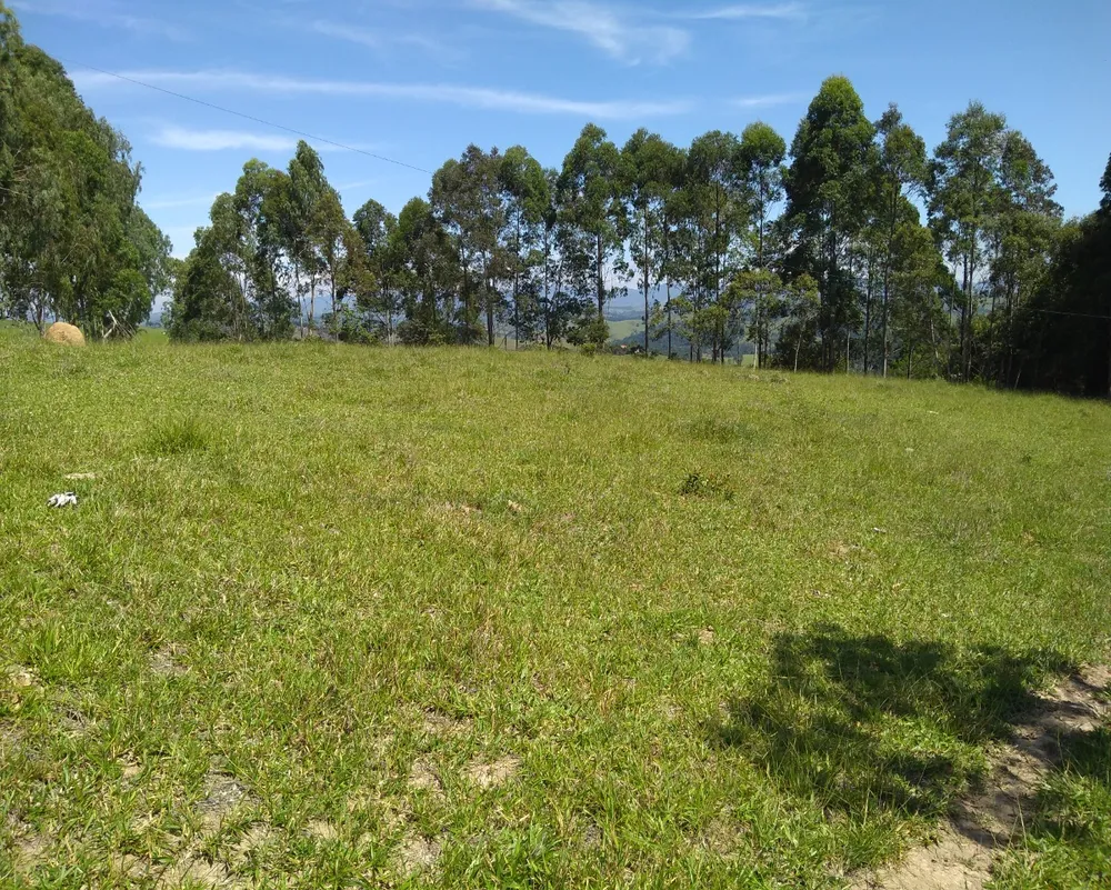 Sítio, 5 quartos, 400 m² - Foto 9