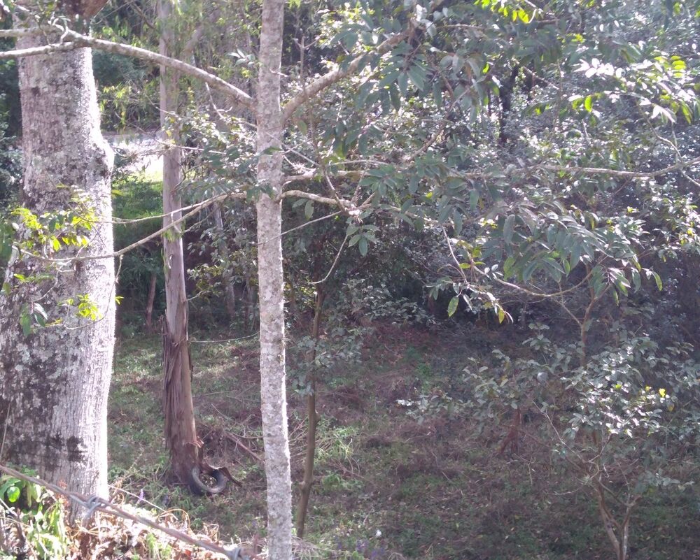 Chácara - Foto 11