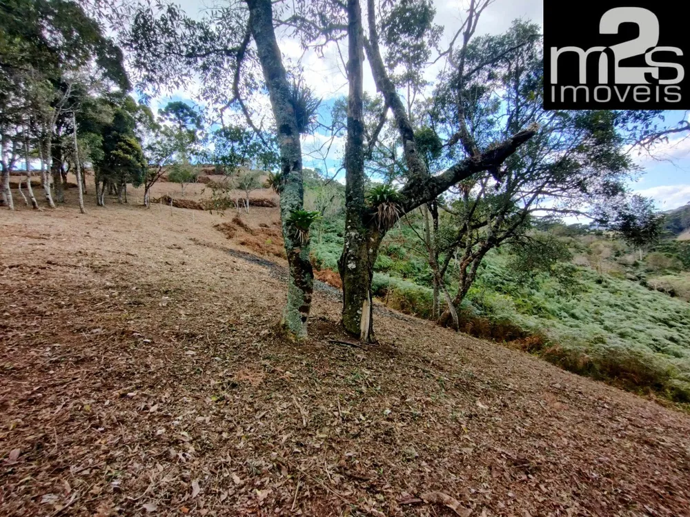 Chácara, 2 hectares - Foto 4