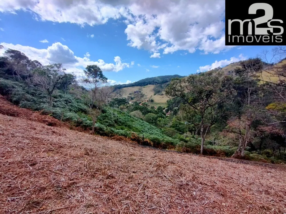Chácara, 2 hectares - Foto 6