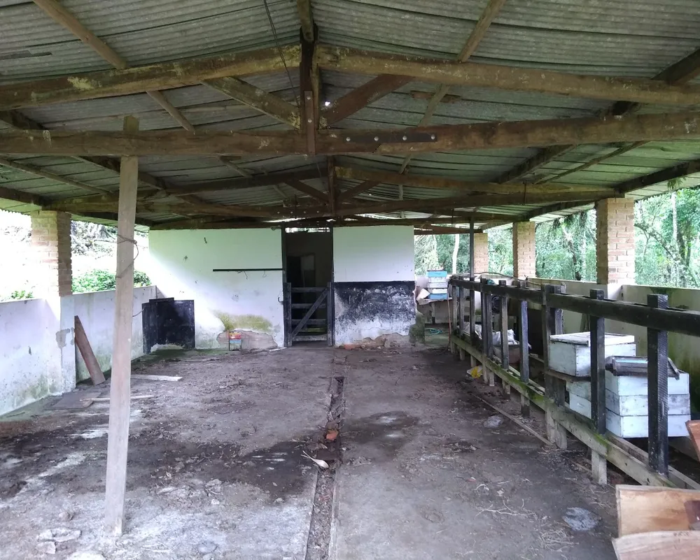 Sítio, 3 quartos, 3 m² - Foto 11