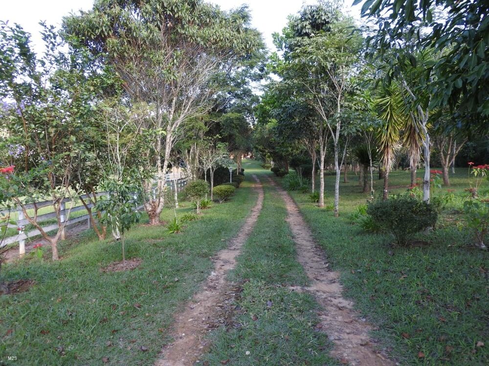 Sítio à venda com 3 quartos, 500m² - Foto 1