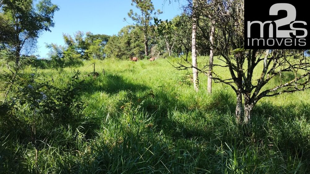 Chácara à venda - Foto 4
