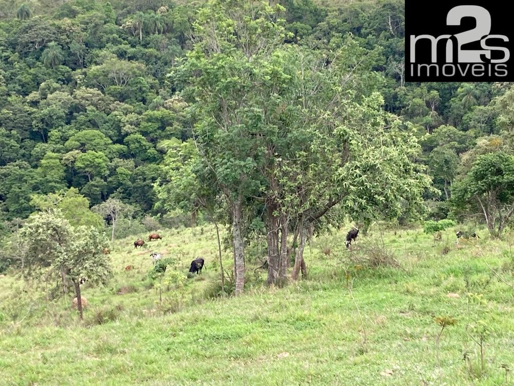 Sítio à venda - Foto 8