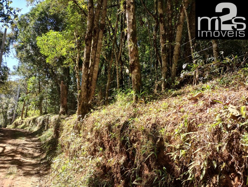 Sítio, 2 quartos - Foto 42