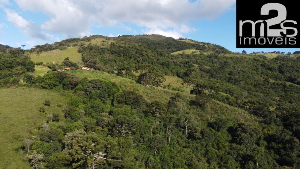 Sítio à venda - Foto 4
