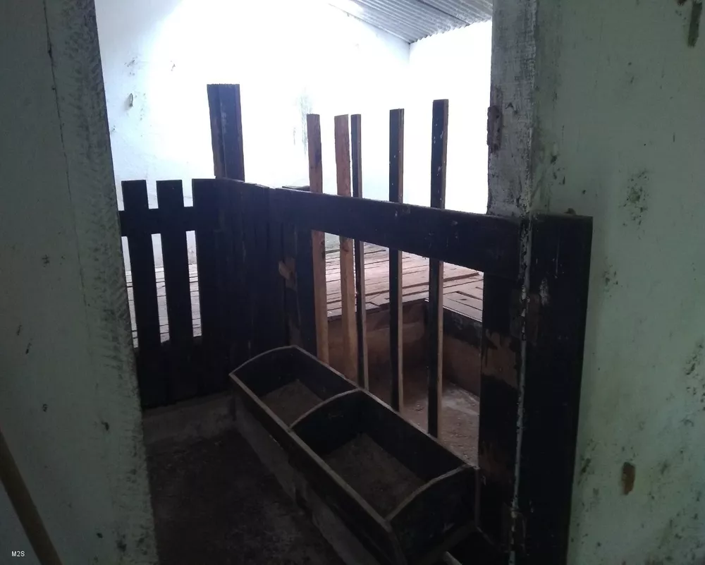 Sítio, 4 quartos, 3 m² - Foto 10