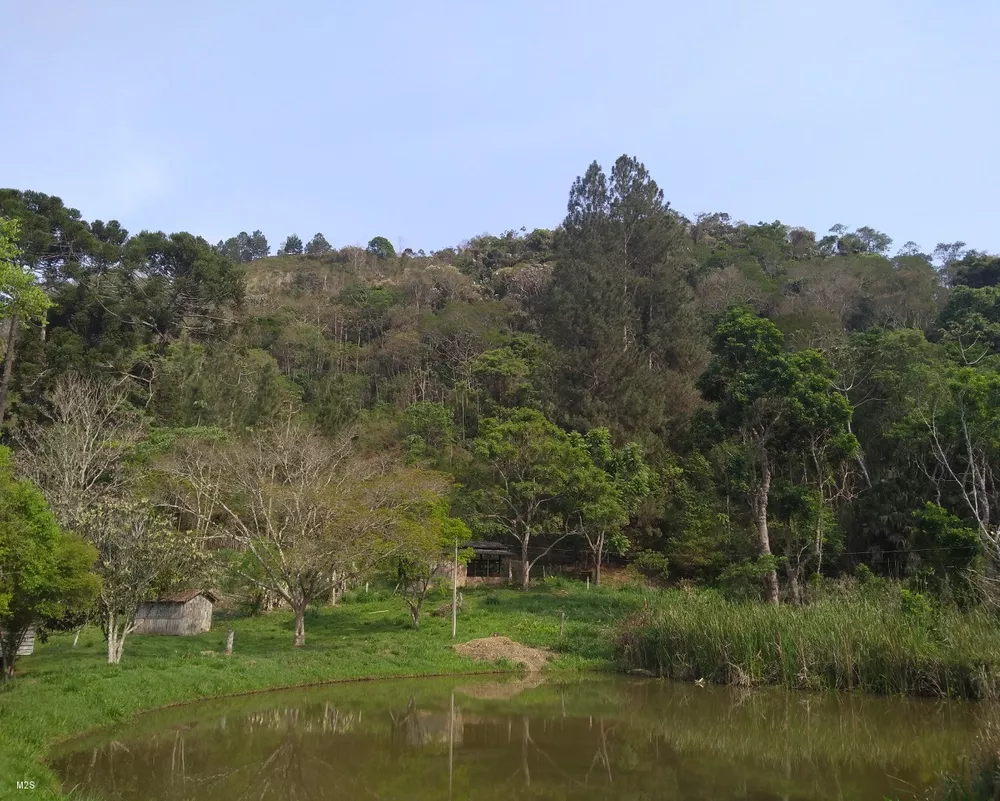 Sítio, 4 quartos, 3 m² - Foto 1