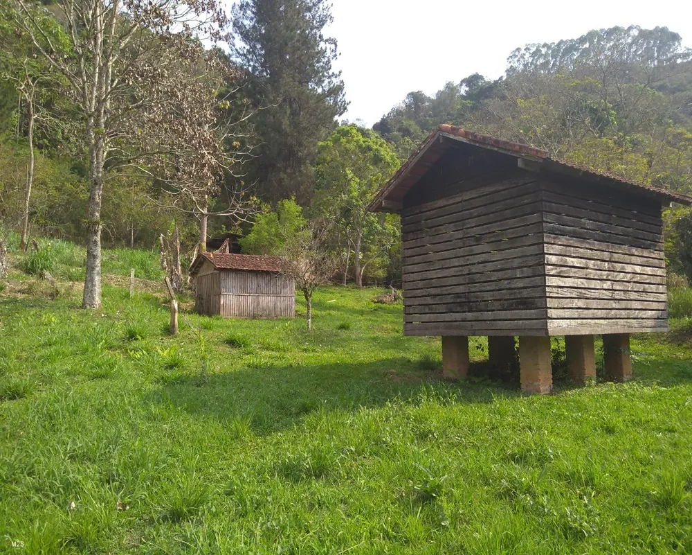 Sítio, 4 quartos, 3 m² - Foto 15