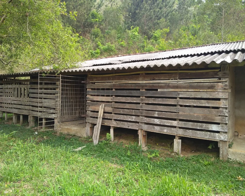 Sítio, 4 quartos, 3 m² - Foto 17