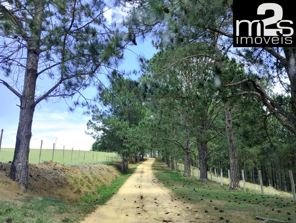 Terreno, 2 hectares - Foto 2