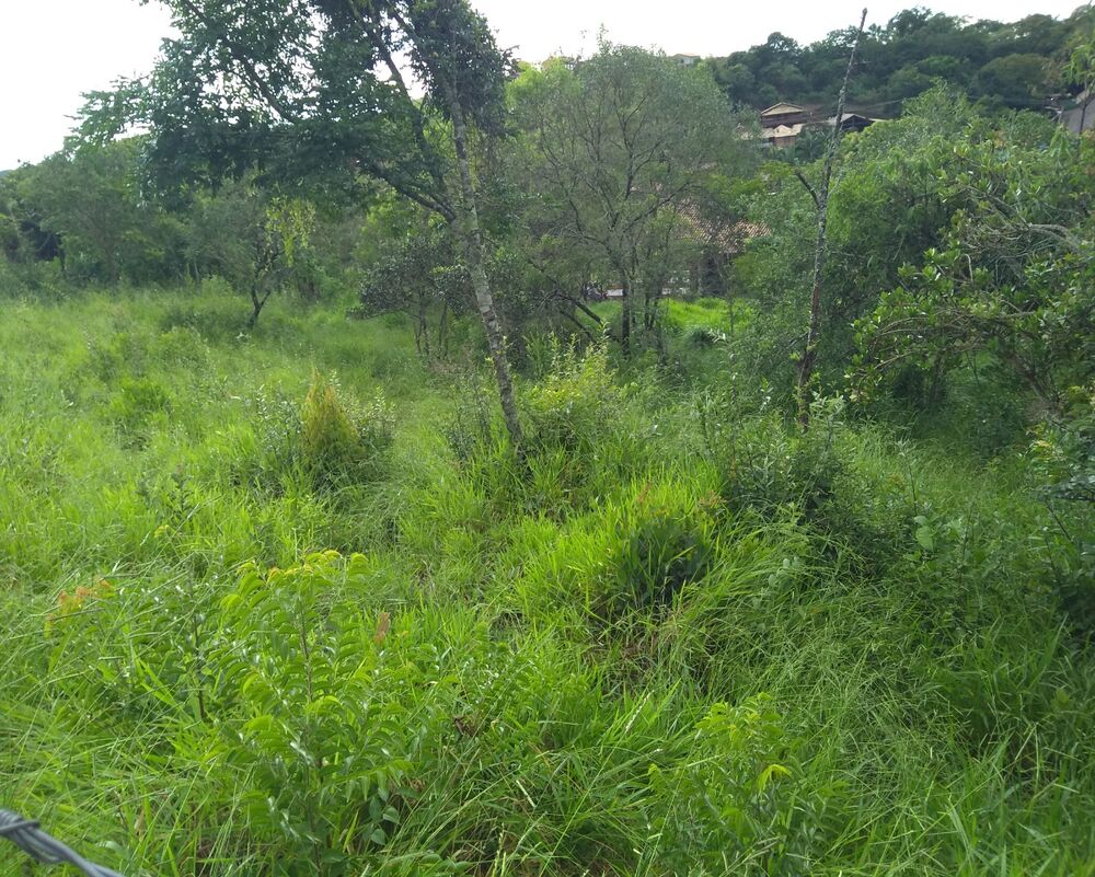 Terreno à venda, 1880m² - Foto 4