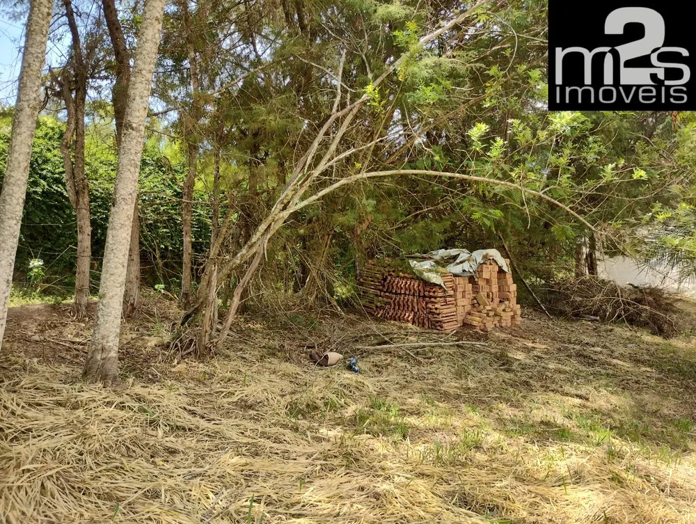 Terreno, 1115 m² - Foto 8