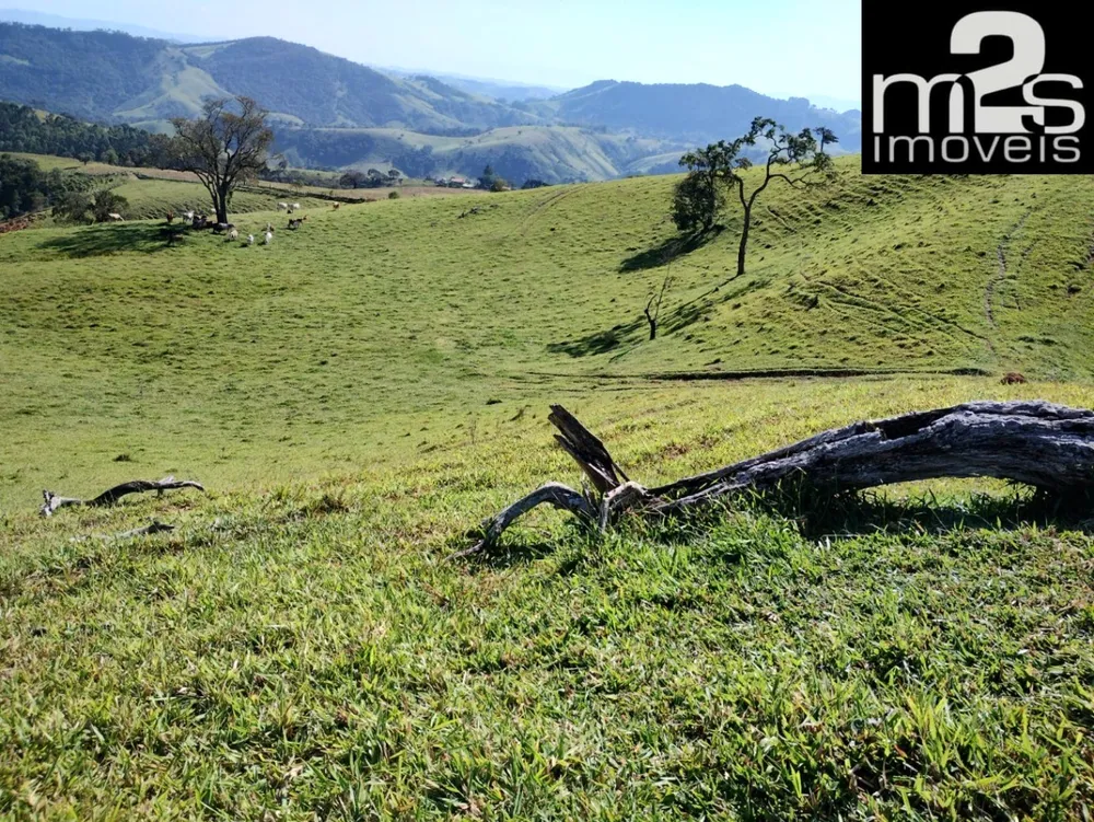 Fazenda - Foto 1