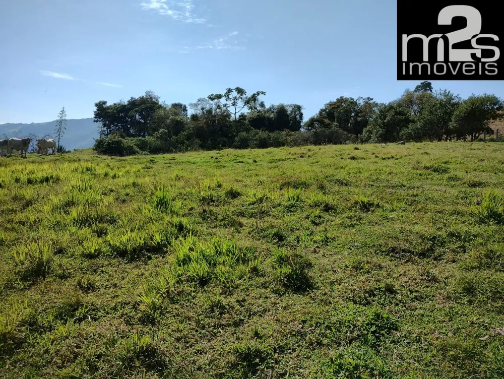 Fazenda - Foto 7