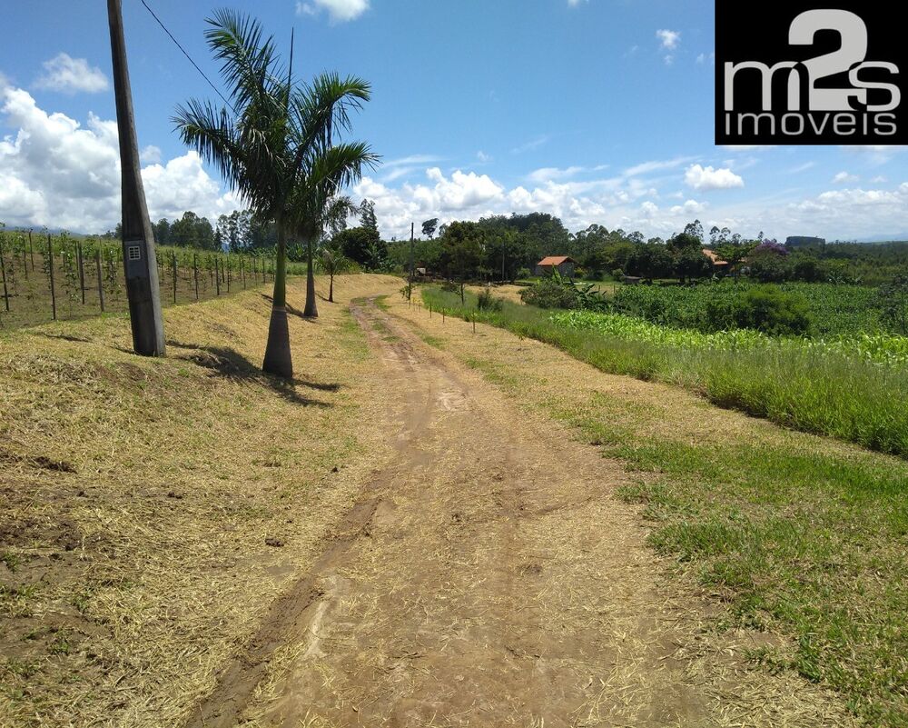 Sítio, 3 quartos - Foto 5