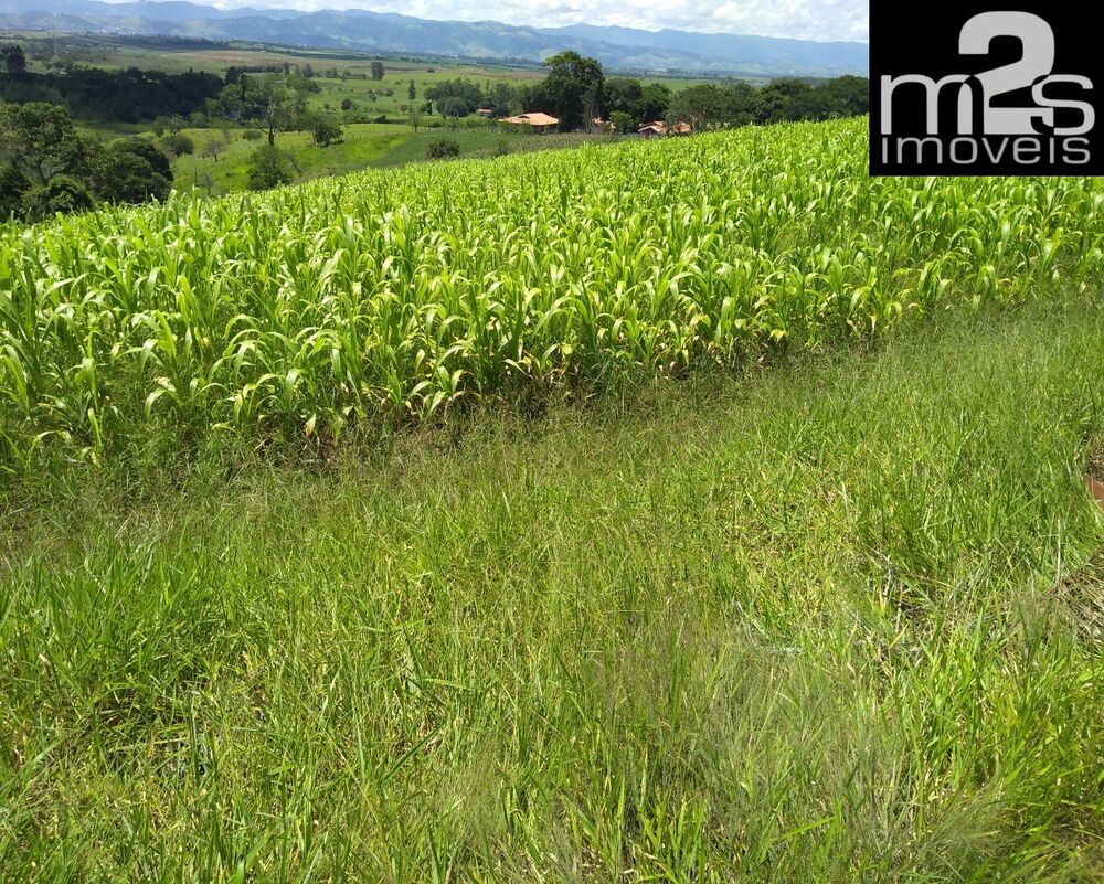 Sítio, 3 quartos - Foto 3