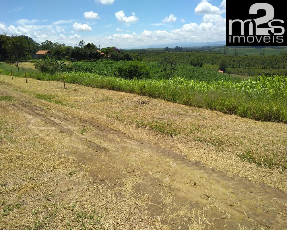 Sítio, 3 quartos - Foto 4