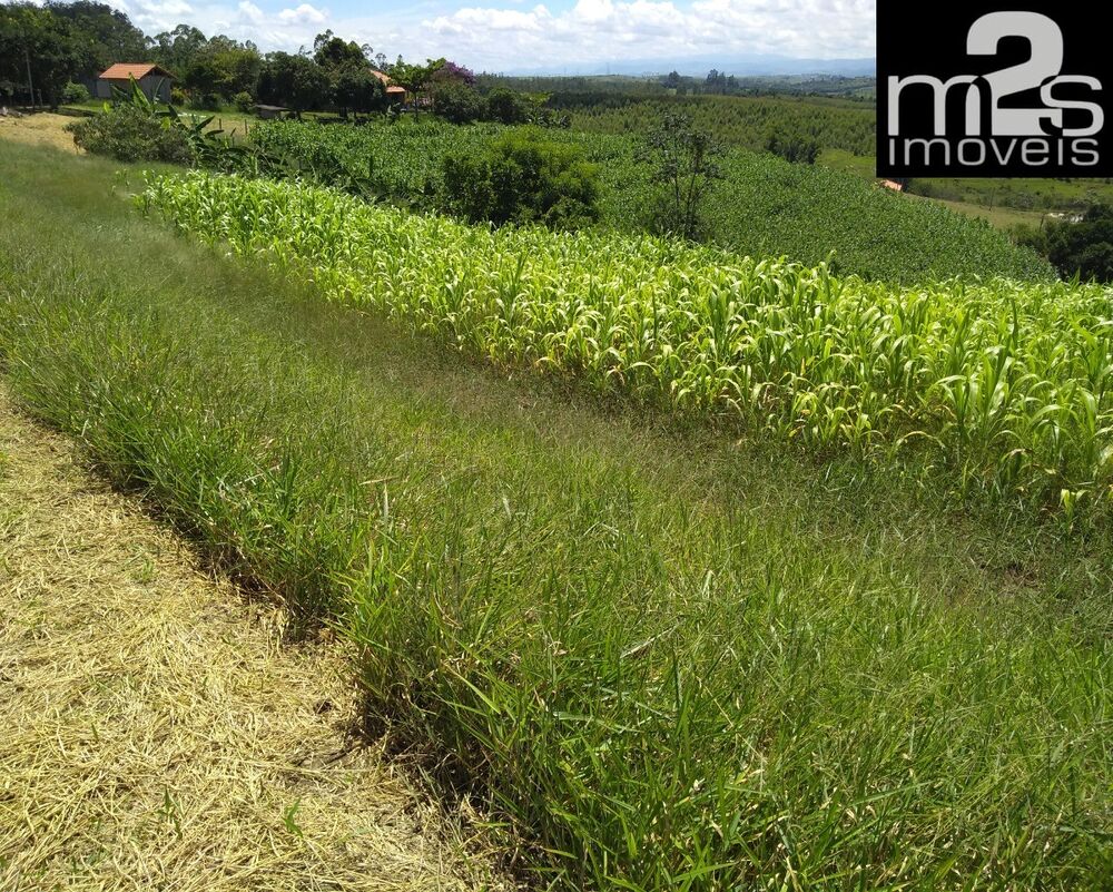 Sítio, 3 quartos - Foto 2