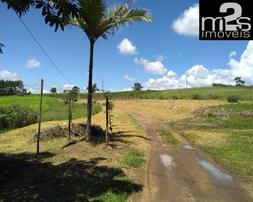 Sítio, 3 quartos - Foto 1