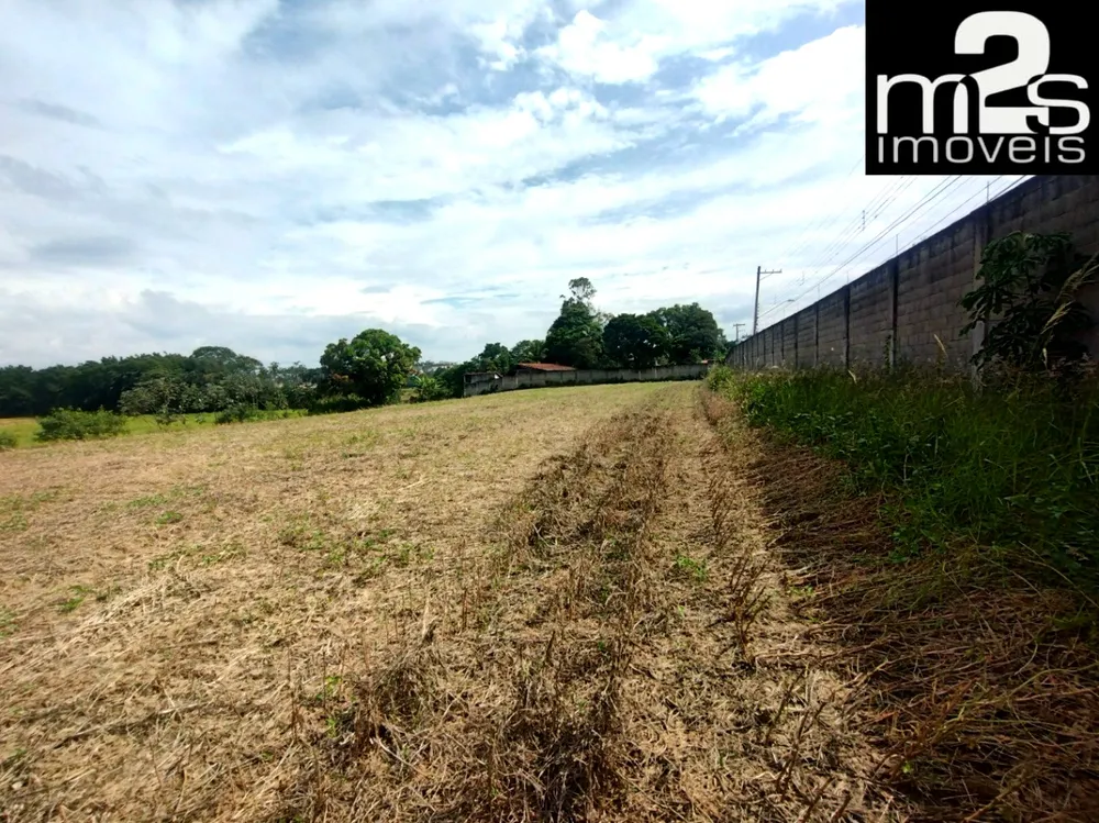 Chácara, 6000 m² - Foto 3